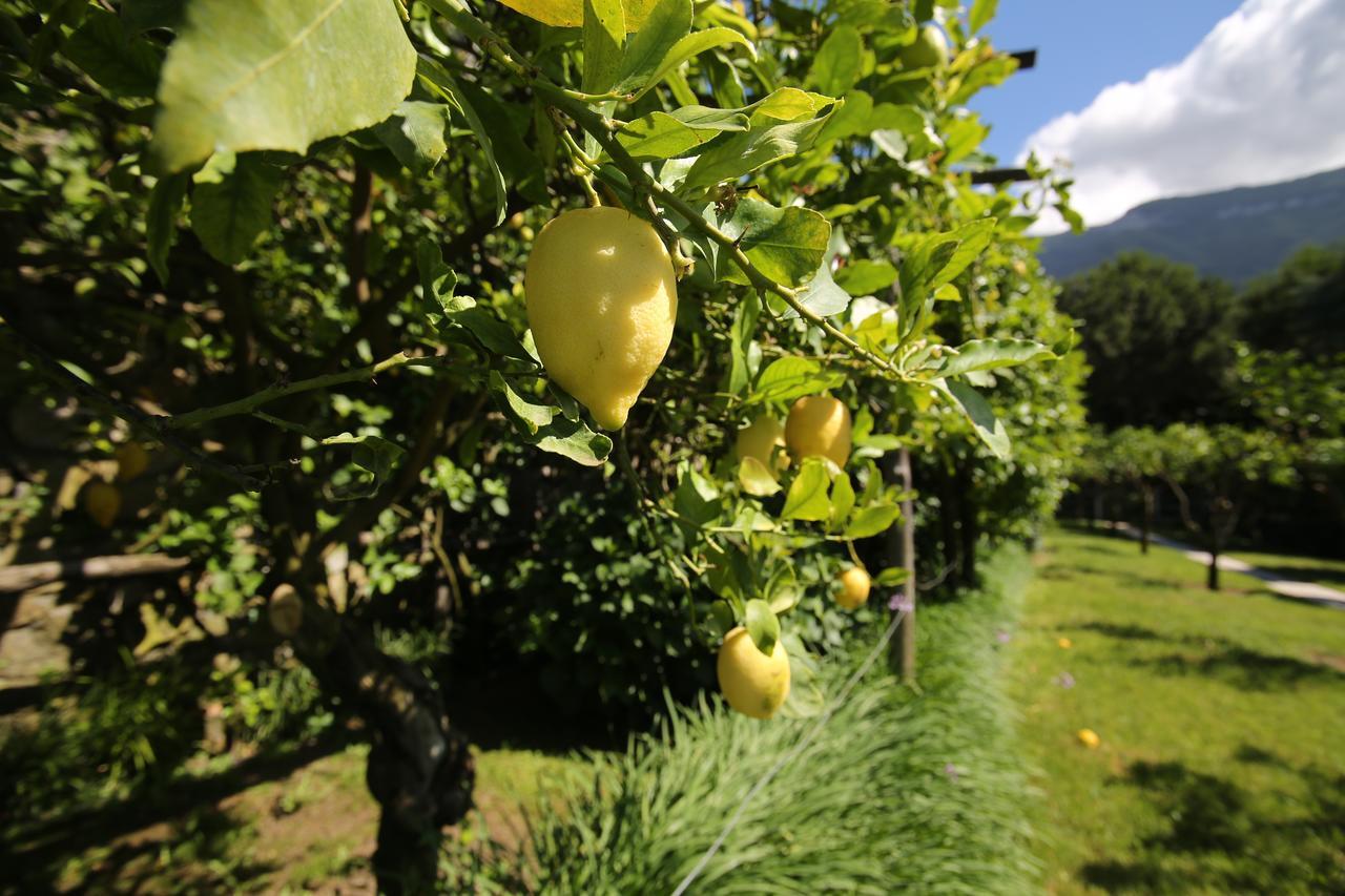 Villa Catie Castellammare di Stabia Dış mekan fotoğraf